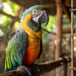 A parrot perched on a tree branch inside a large natural habitat at a zoo.