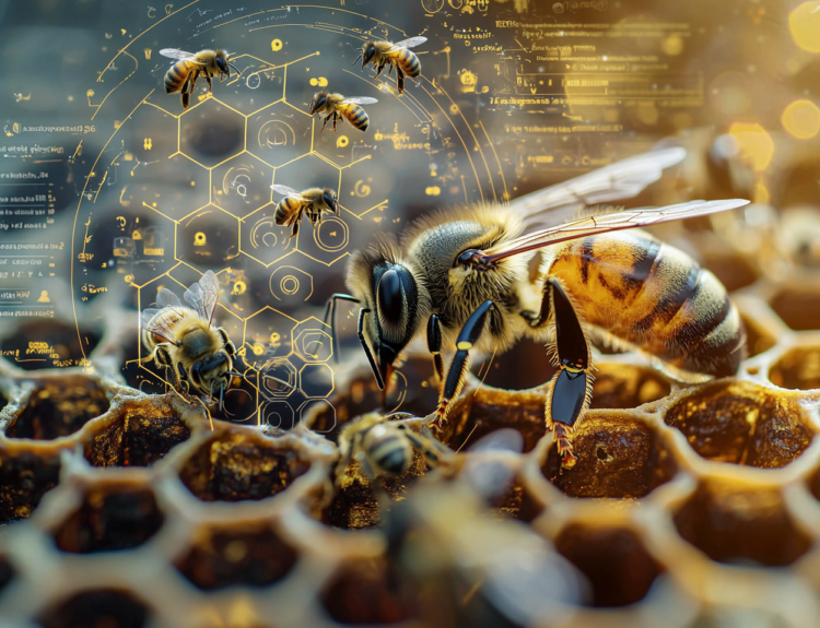 Life span of bees shown on a honeycomb in a close-up digital overlay